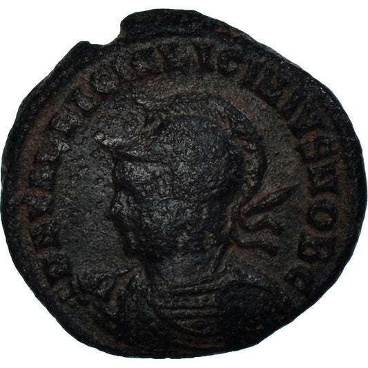 Mince, 
  
  Licinius II. 
  
  Follis