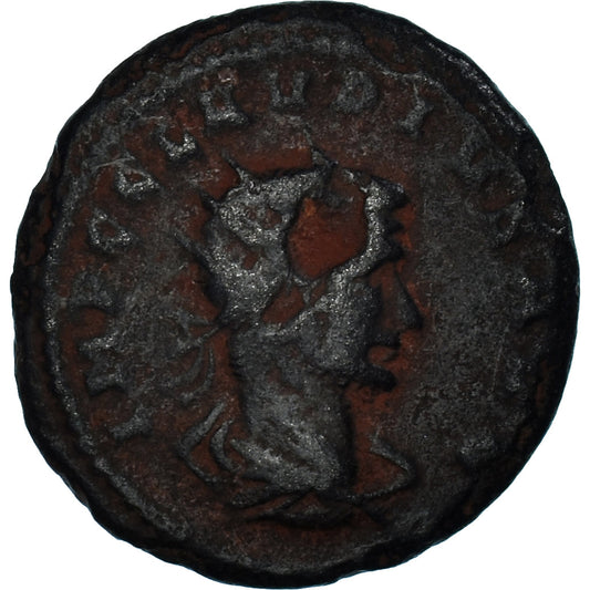 Mince, 
  
  Claudius II (Gothicus), 
  
  Antoninianus