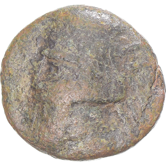 Mince, 
  
  Parthská říše (247 př. n. l. – 224 n. l.), 
  
  Chalkous Æ