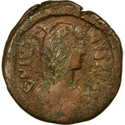 Mince, 
  
  Justine já, 
  
  Follis